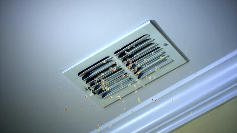 Best Affordable Air Duct Cleaning  in American Falls, ID