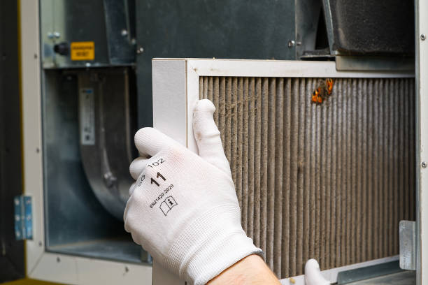 Best Local Air Duct Cleaning Services  in American Falls, ID